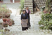 Norbulingka Institute - Kangra Valley 